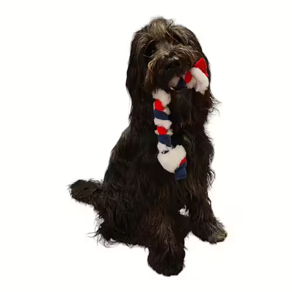 Treccia in Pile e Pelo di Pecora