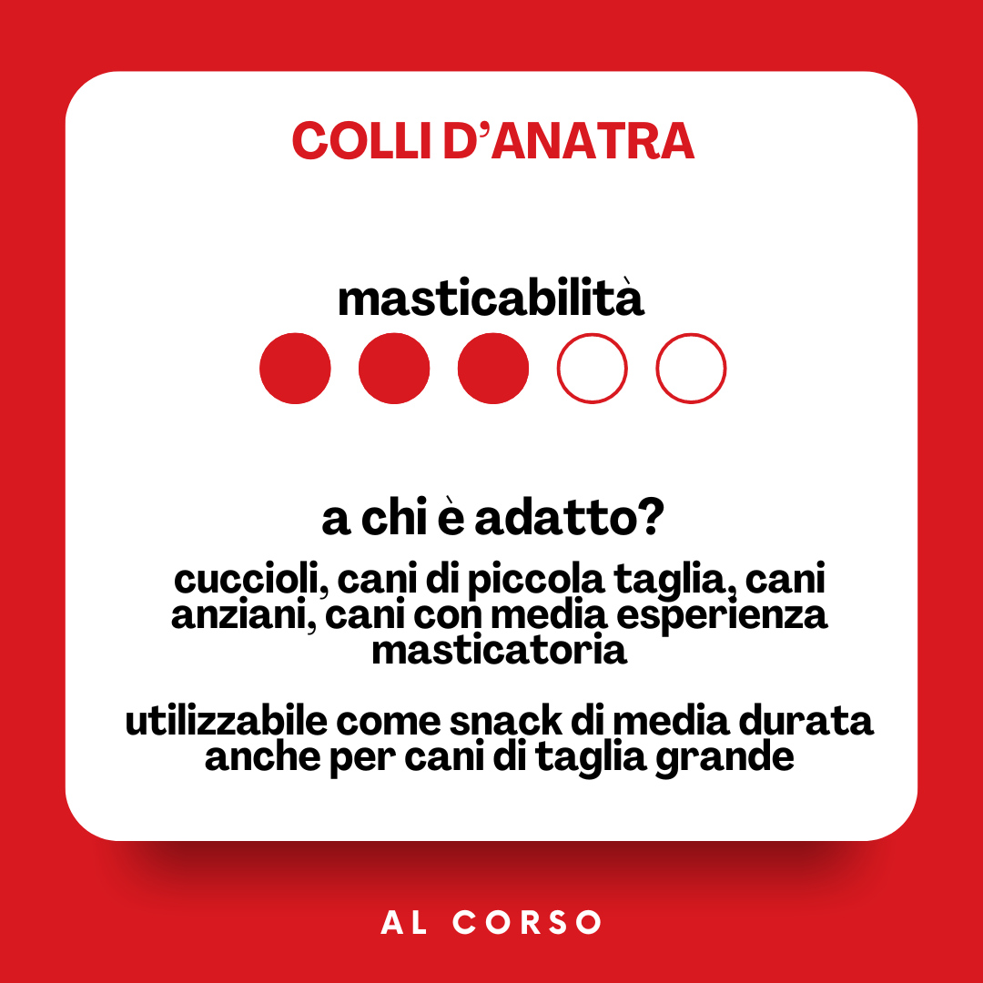 Colli d’anatra