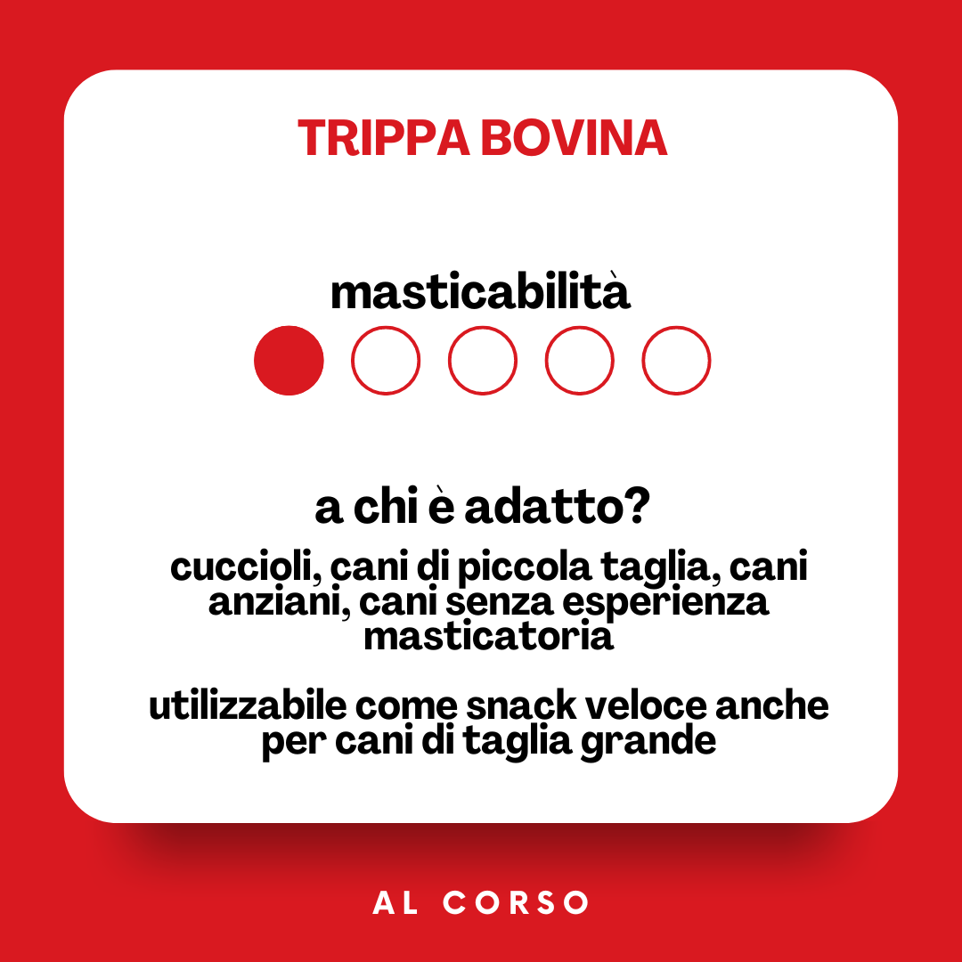 Trippa bovina