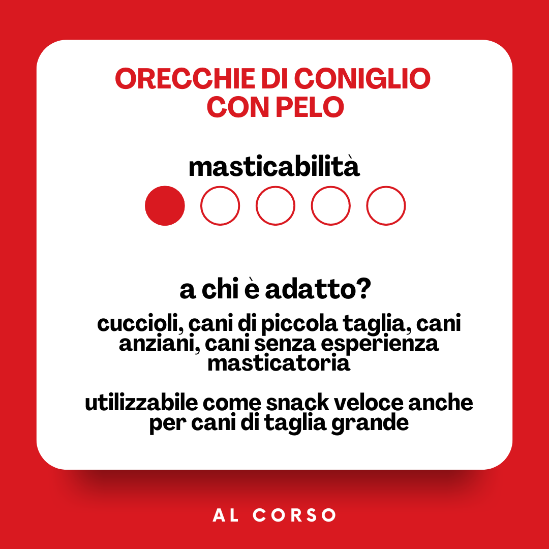 Orecchie di coniglio con pelo