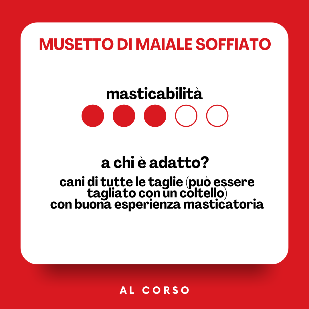 Musetto di maiale soffiato