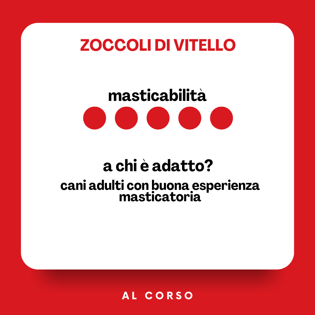 Zoccolo di vitello