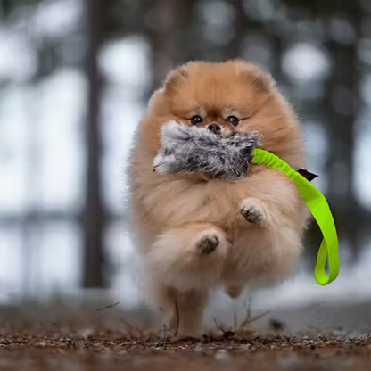 Rabbit Expander