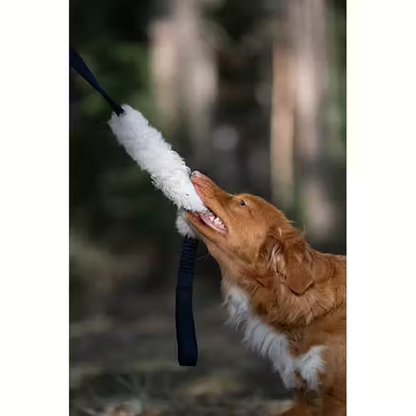 Slitfar Bungee