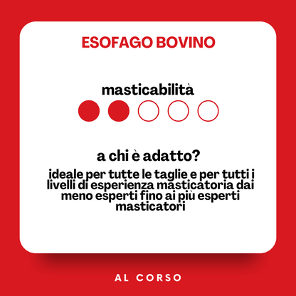Esofago bovino