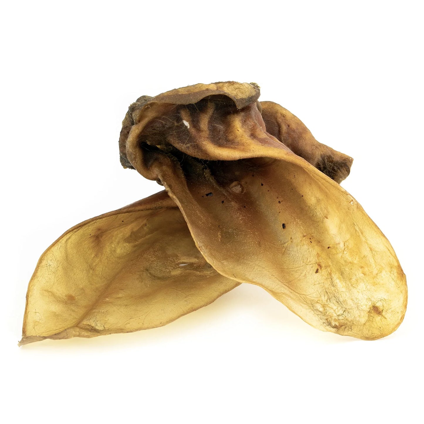 Orecchie di bovino con muscolo