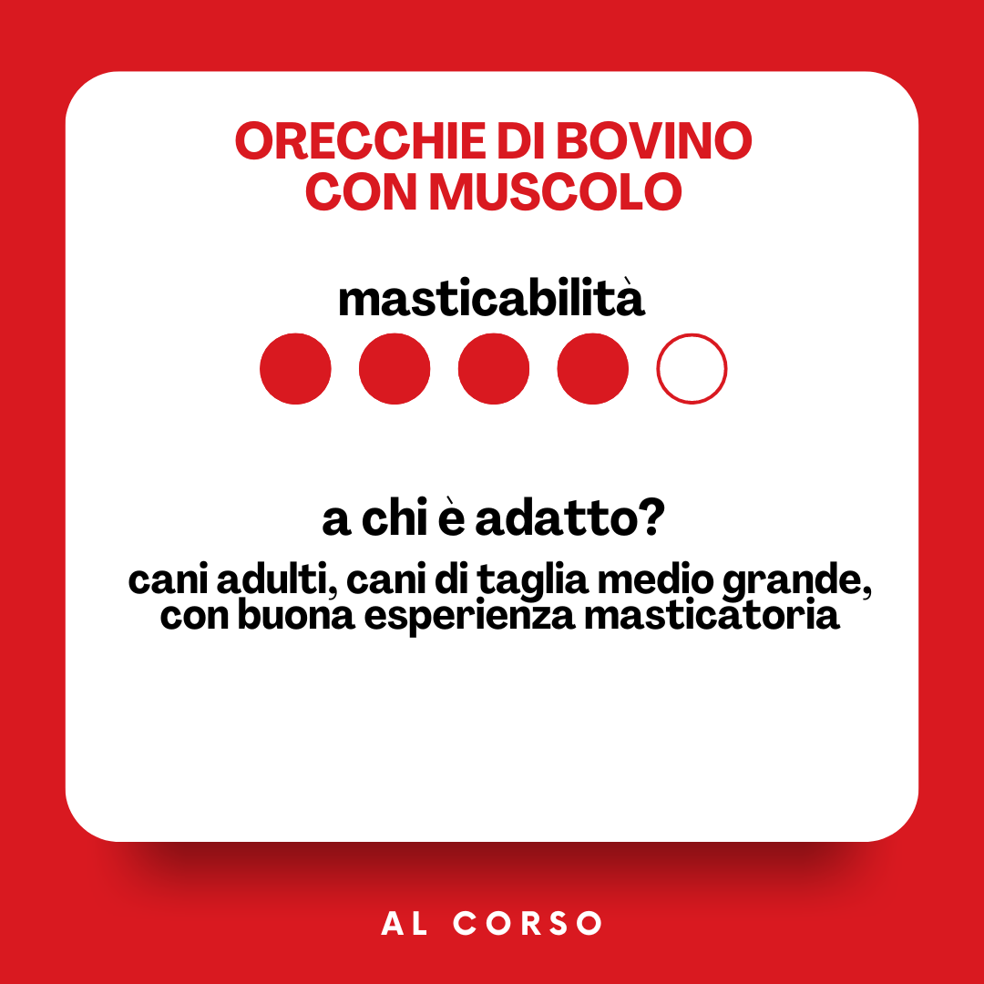 Orecchie di bovino con muscolo