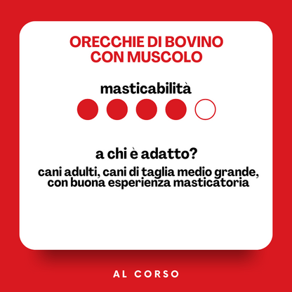 Orecchie di bovino con muscolo