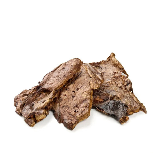 Polmone bovino