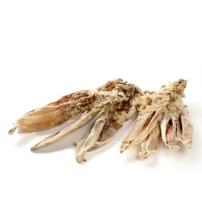 Orecchie di coniglio con pelo