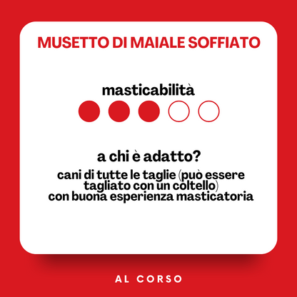 Musetto di maiale soffiato