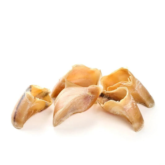 Zoccolo di vitello